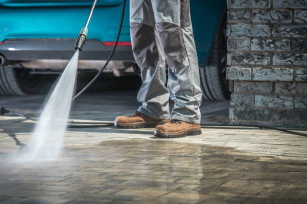 Best Soft Washing  in Hallstead, PA