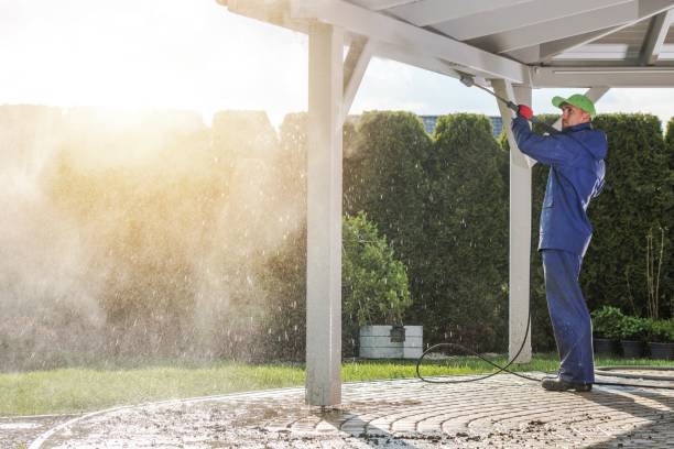 Best Building Exterior Washing  in Hallstead, PA