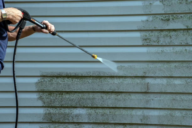 Best Gutter Cleaning  in Hallstead, PA